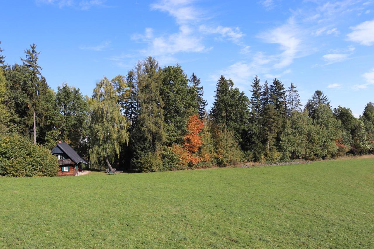 Gregor'S Ferienhaus Im Wald Edelschrott Экстерьер фото